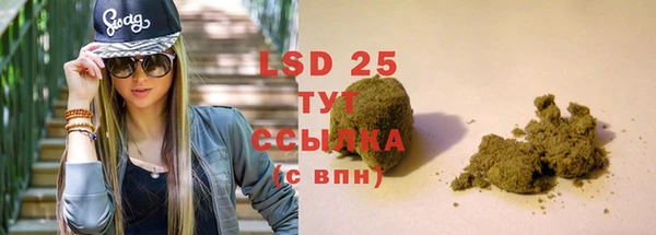шишки Армянск