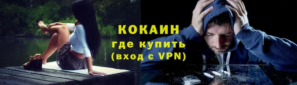 шишки Армянск