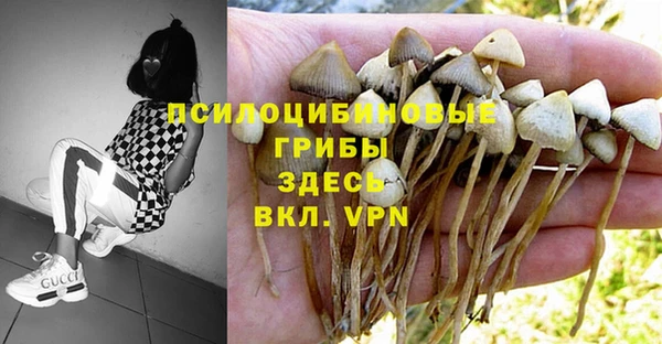 шишки Армянск