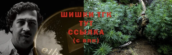 бошки Аркадак