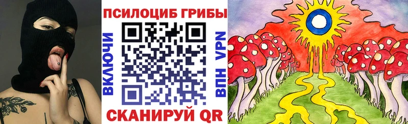 Псилоцибиновые грибы Psilocybe  хочу   Фролово 